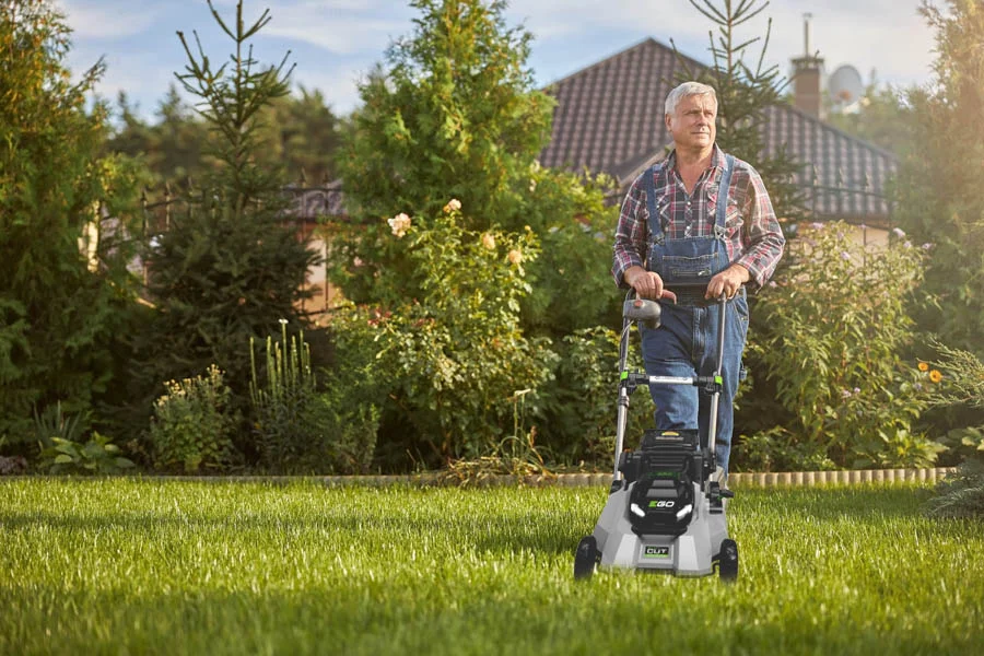 best electric mower for small yard